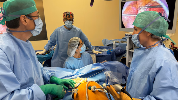 Atención especializada en ginecología y obstetricia en Polanco