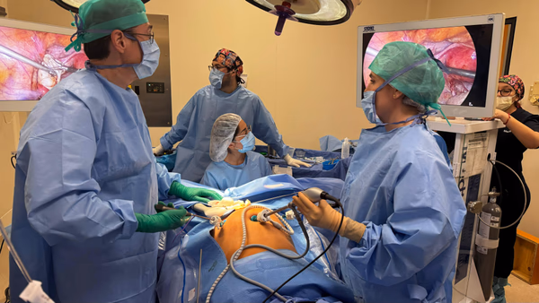 Atención especializada en ginecología y obstetricia en Polanco